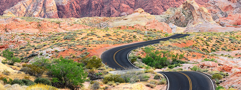 Why Form a Nevada Corporation?