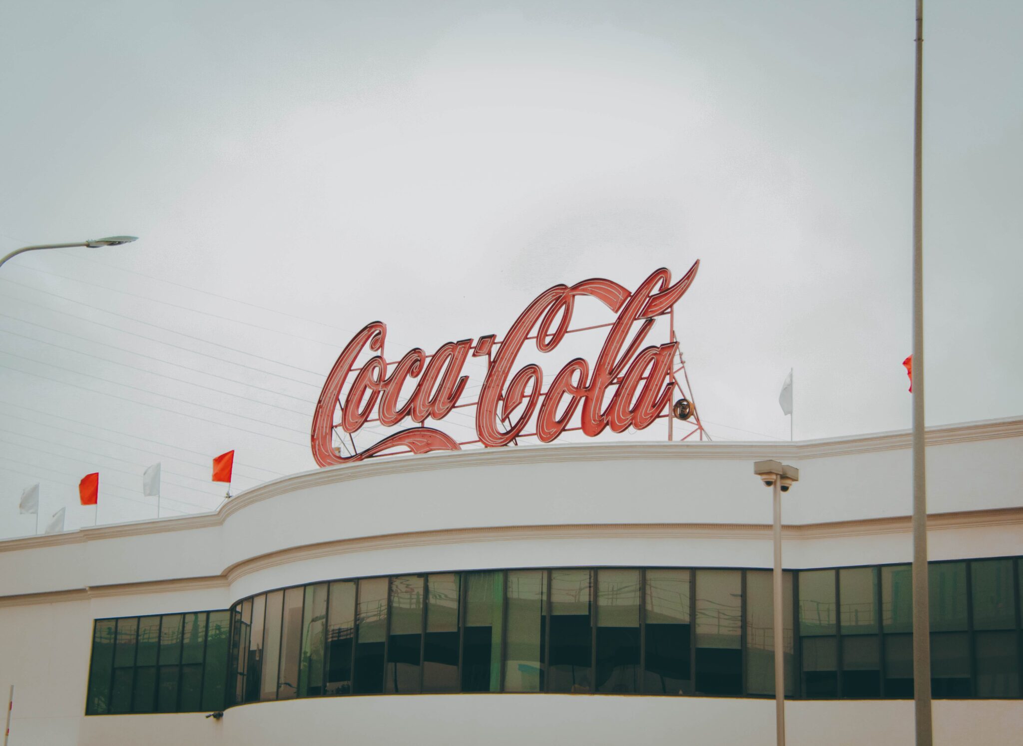 Name, Verify, and Register Your New Company with This Definitive Guide