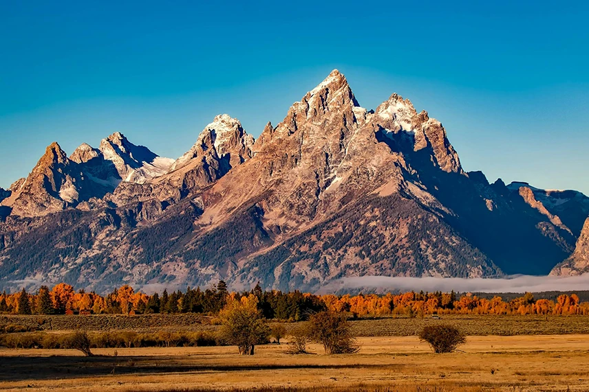 fields and trees in front of a mountain in Wyoming