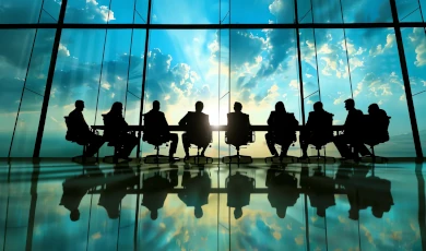 Does a Single-Member LLC Need a Board of Directors?