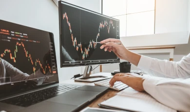 Can an LC have stock or shareholders?